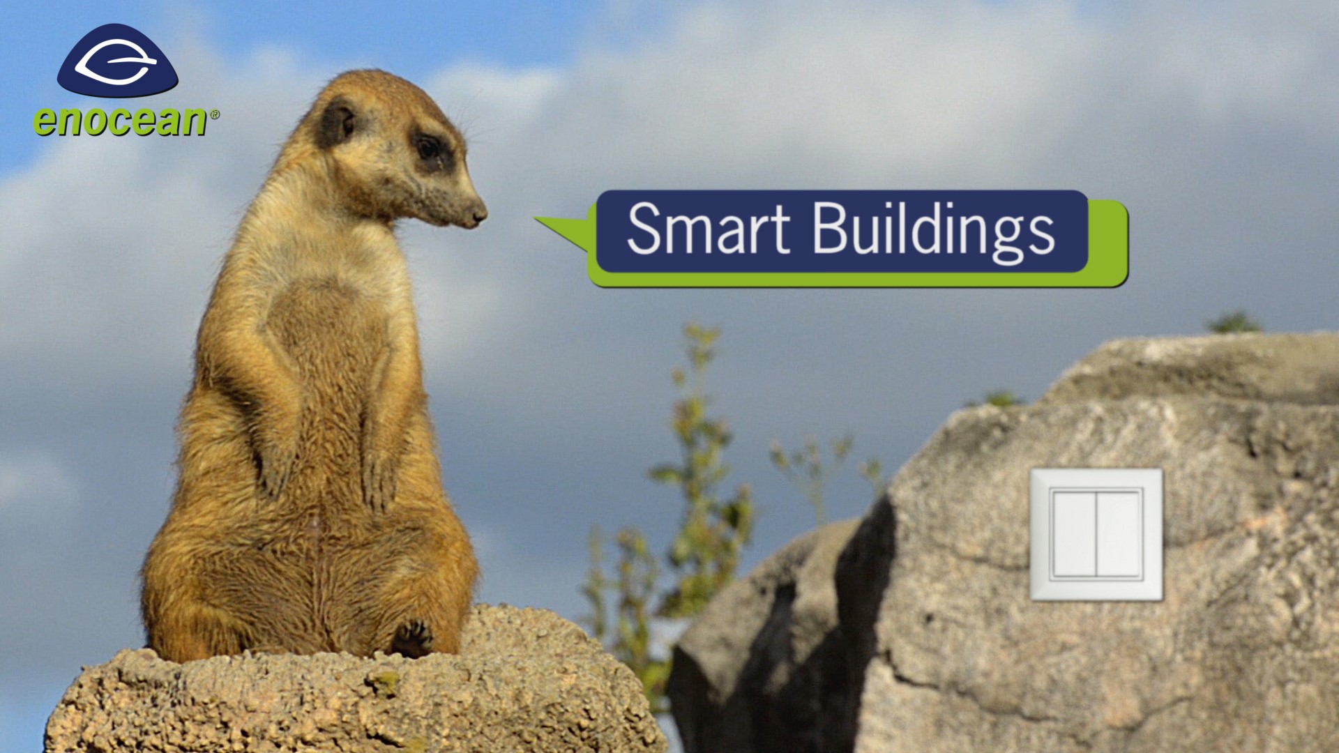 EnOcean Alliance_SmartBuildings_Thumbnail